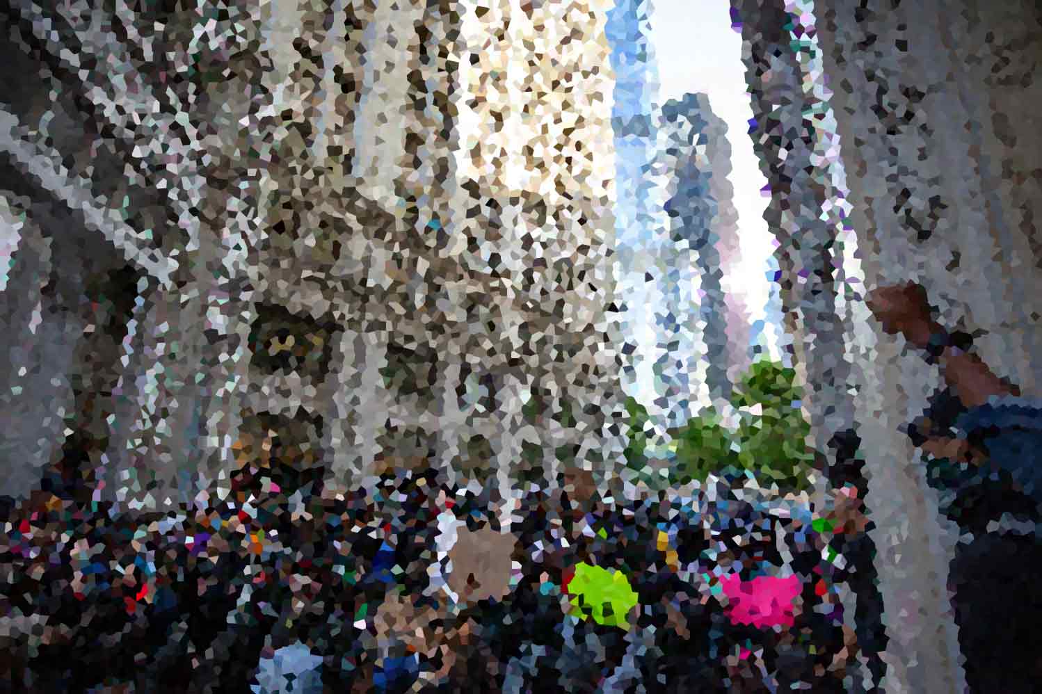 How Emerging Markets Are Shaping the Global Economy