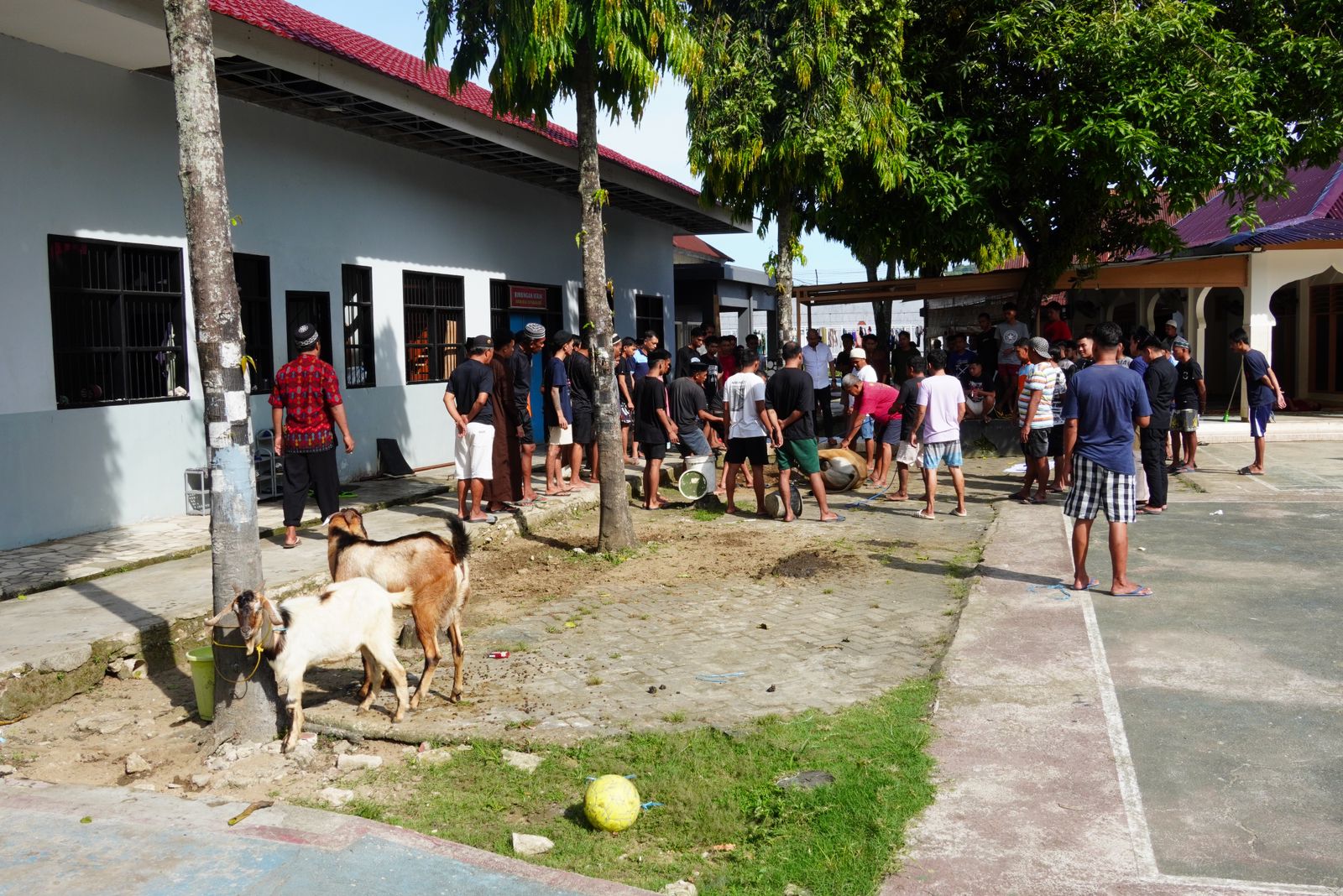 Rutan Pangkajene Hidupkan Semangat Idul Adha Lewat Penyembelihan Hewan Kurban
