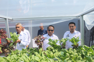 Panen Perdana Hidroponik, WBP Lapas Narkotika Sungguminasa Hasilkan Sayuran Segar