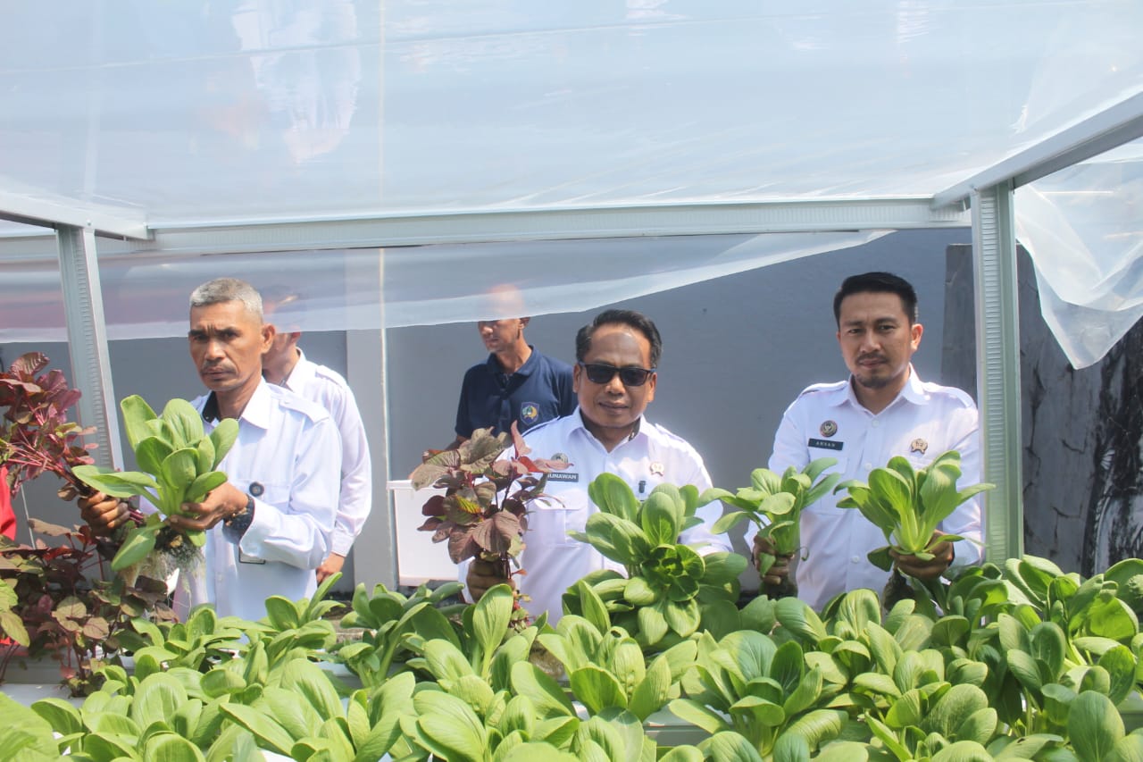 Panen Perdana Hidroponik, WBP Lapas Narkotika Sungguminasa Hasilkan Sayuran Segar