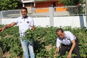 Lapas Parepare Panen Kacang Edamame di Lahan 300 Meter Persegi, Hasilkan Sekitar 100 Kilogram
