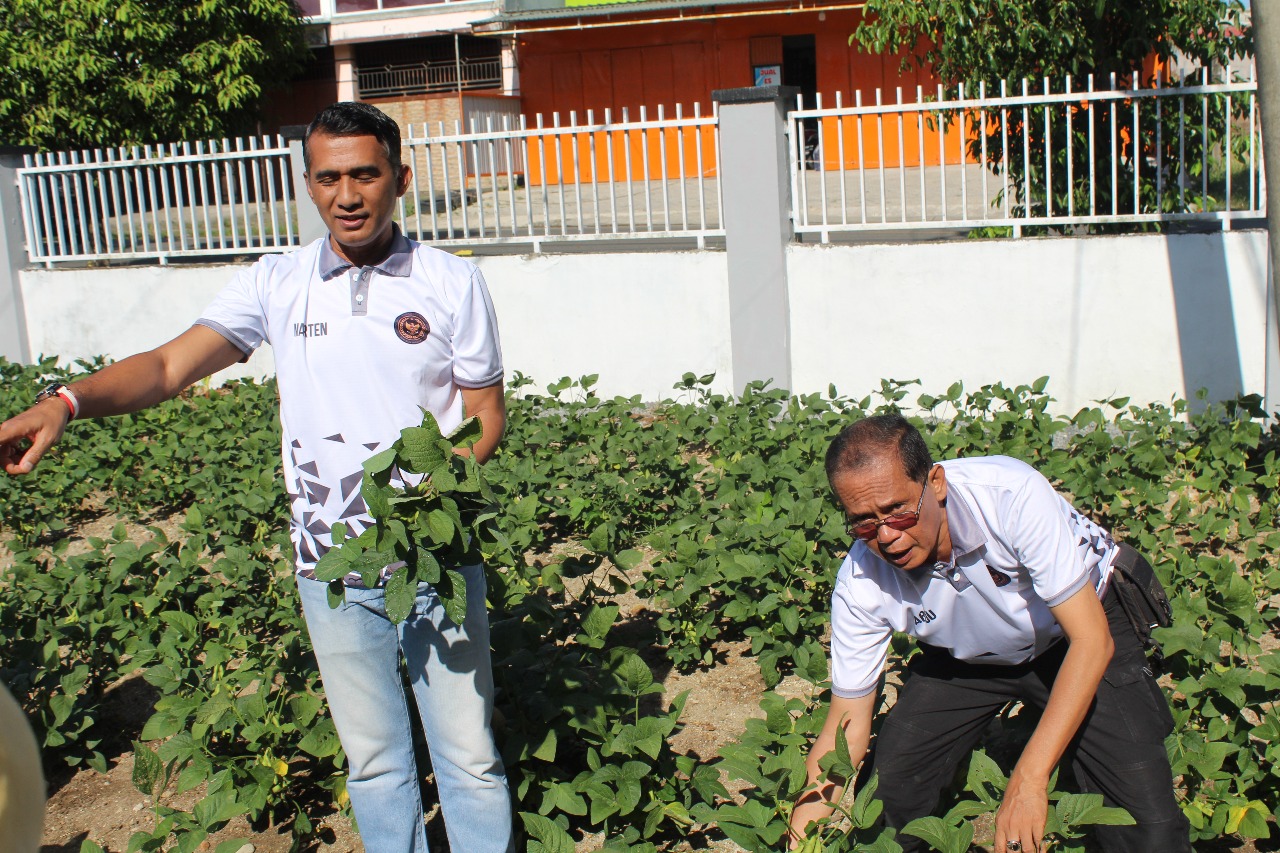 Lapas Parepare Panen Kacang Edamame di Lahan 300 Meter Persegi, Hasilkan Sekitar 100 Kilogram