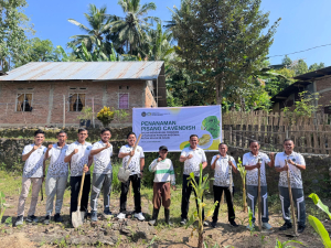 Rutan Sinjai Laksanakan Penanaman Pisang Cavendish dan Monitoring Persiapan Panen Jagung dalam Mendukung Program Ketahanan Pangan Nasional