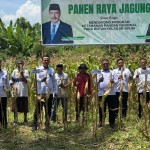 Rutan Kelas IIB Sinjai Bersama Ditjenpas Sulsel Panen Raya Jagung Wujud Dukungan Ketahanan Pangan