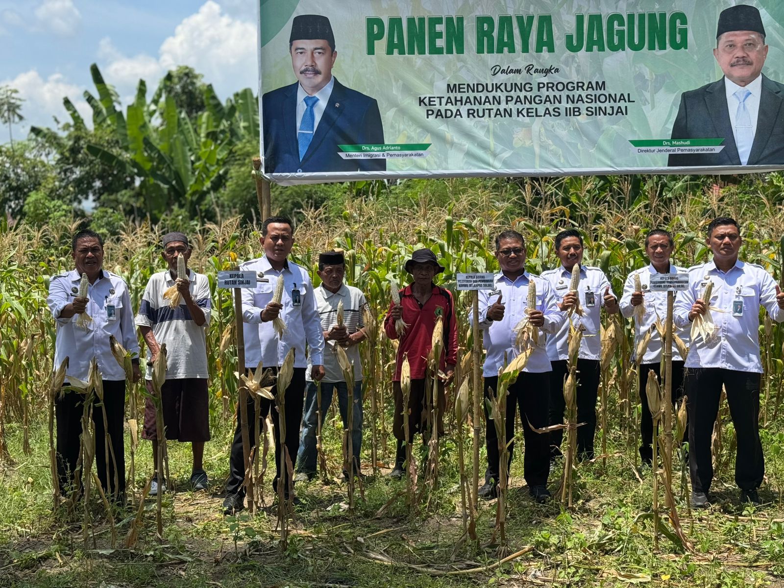 Rutan Kelas IIB Sinjai Bersama Ditjenpas Sulsel Panen Raya Jagung Wujud Dukungan Ketahanan Pangan