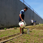 Warga Binaan Rutan Pangkep Lakukan Rutinitas Pengolahan Ketahanan Pangan