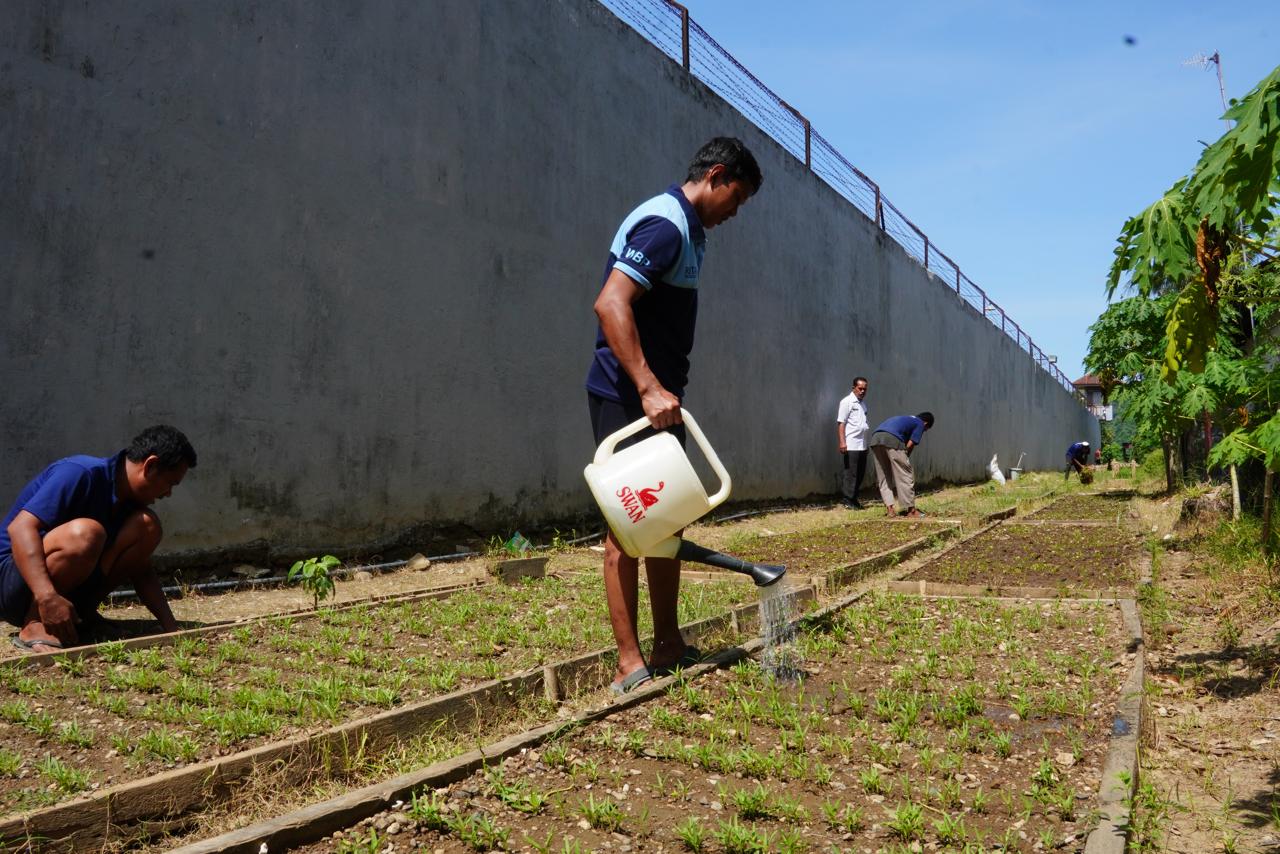 Warga Binaan Rutan Pangkep Lakukan Rutinitas Pengolahan Ketahanan Pangan