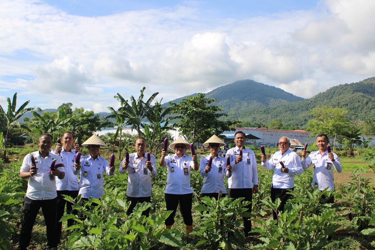 Gelar Panen Raya dan Pemberian Pakan Ikan di Area SAE, Lapas Palopo Komitmen Perkuat Program Ketahanan Pangan