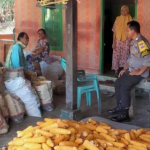 Bhabinkamtibmas Paddinging Ajak Petani Salurkan Hasil Panen ke Bulog untuk Jaga Stabilitas Pangan