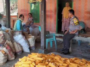 Bhabinkamtibmas Paddinging Ajak Petani Salurkan Hasil Panen ke Bulog untuk Jaga Stabilitas Pangan