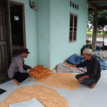 Bhabinkamtibmas Aeng Batu-Batu Monitoring Panen Jagung, Dukung Program Ketahanan Pangan Nasional