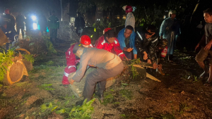 Respons Cepat Samapta Polres Gowa, Pohon Tumbang di Bajeng Berhasil Dievakuasi