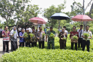 Panen Raya Serentak Pemasyarakatan, Rutan Masamba Tunjukkan Peran Aktif Dukung Ketahanan Pangan