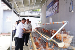 Panen Raya di Rutan Pangkep: Hasil Penjualan Disalurkan untuk Korban Bencana